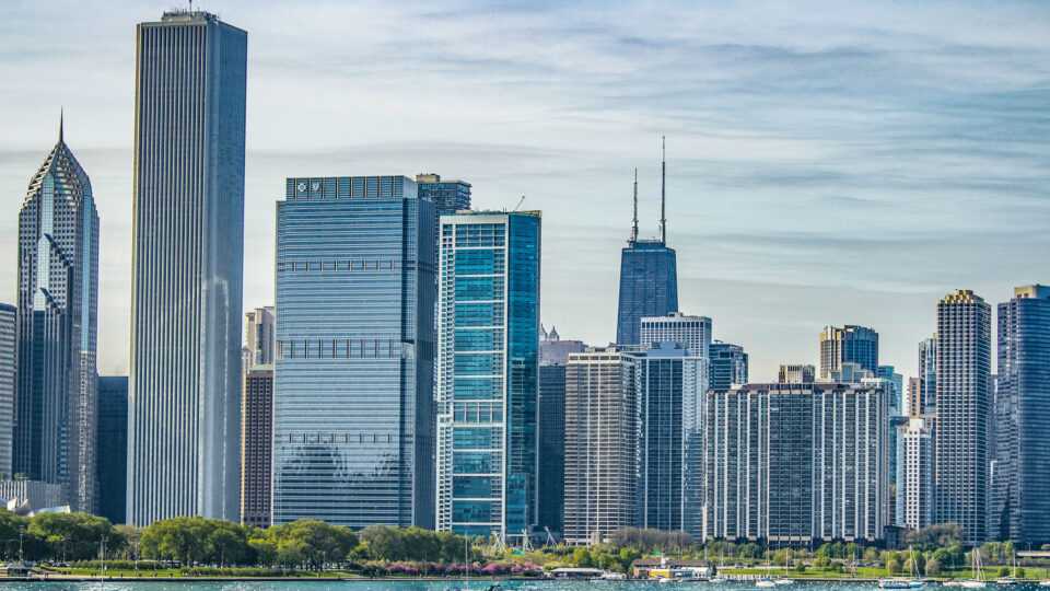 bizExaminer ECQA title image